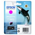 Epson oryginalny ink / tusz C13T76034N10, T7603, vivid magenta, 25,9ml, 1szt