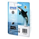 Epson oryginalny ink / tusz C13T76074010, T7607, light black, 25,9ml, 1szt