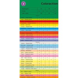 Papier kserograficzny Coloraction, Amsterdam, A4, 80 g/m2, ceglaste pomarańczowy, 500 arkusza, nadaje się do druku atramentowego